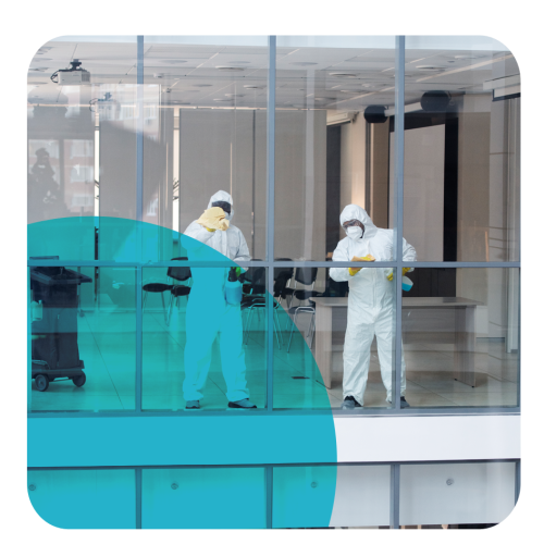abf-clean-5
